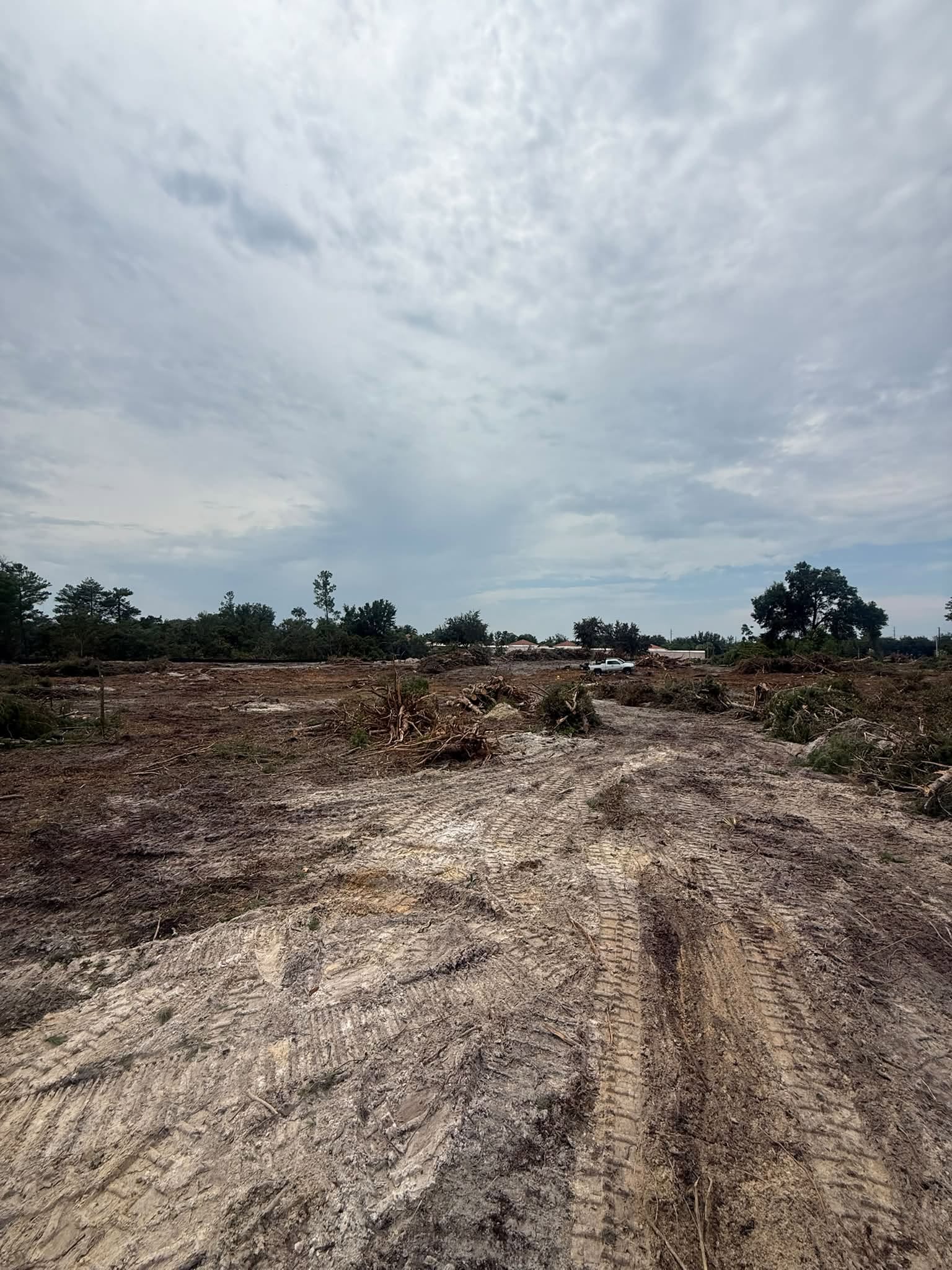 Land clearing service in Volusia County Florida