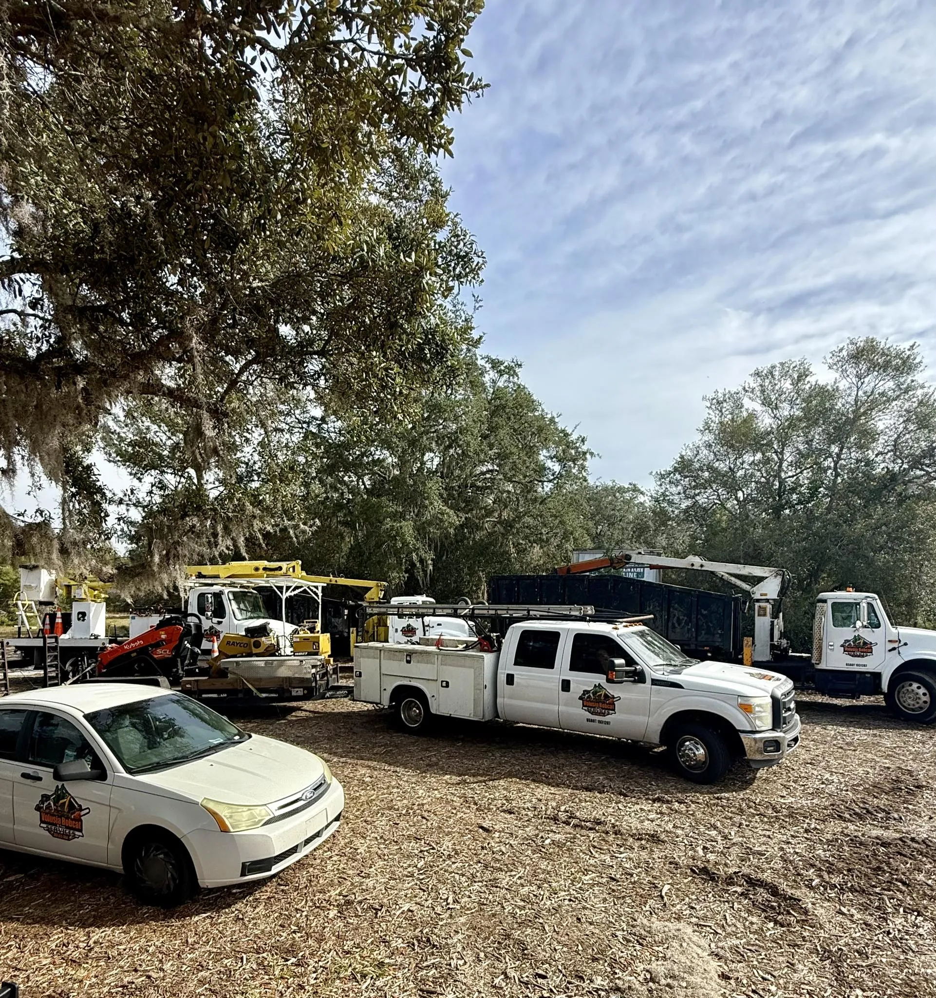 White tree service trucks, utility vehicles, and car parked under moss-draped trees.