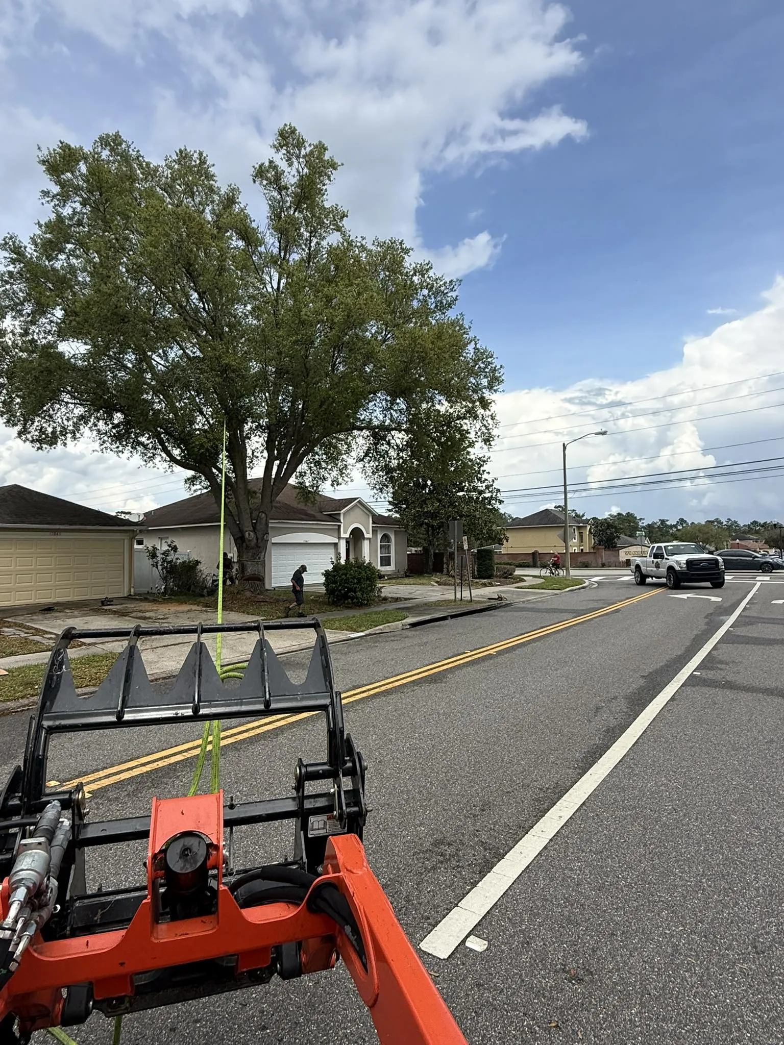 Crew trimming a large tree along a residential street with a bucket truck.