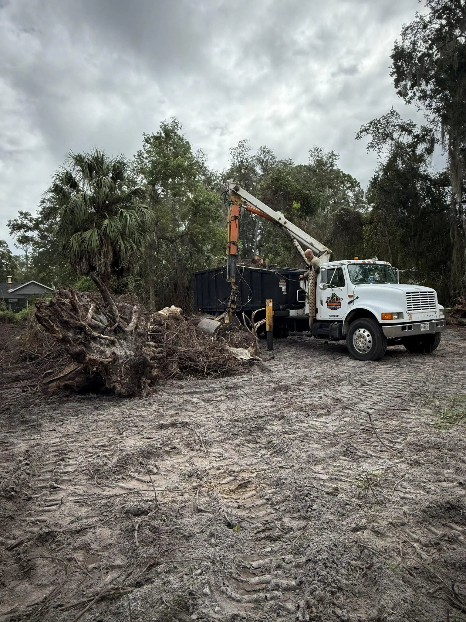 Tree service truck with crane removing large tree stumps and debris from a site.