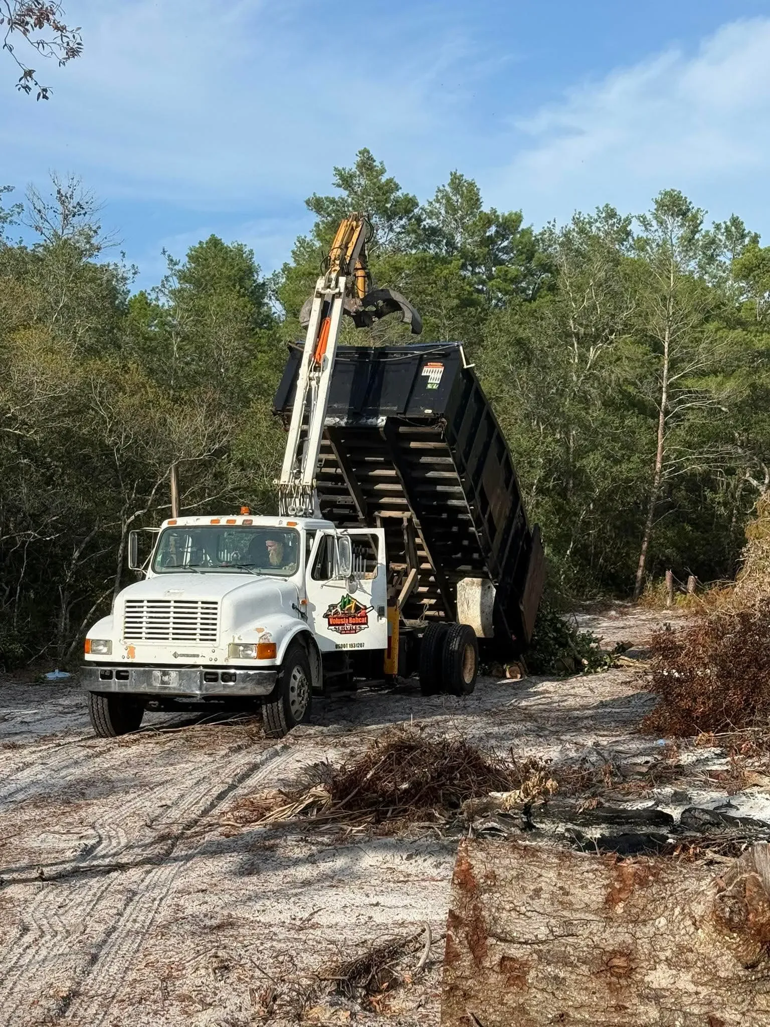 VB Tree Removal grapple truck removing debris on a wooded property