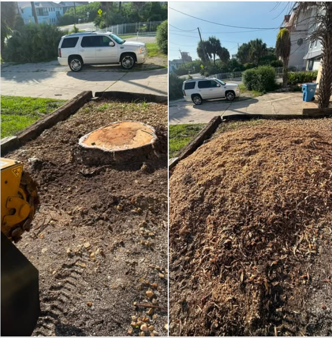 Before and after of stump grinding service.